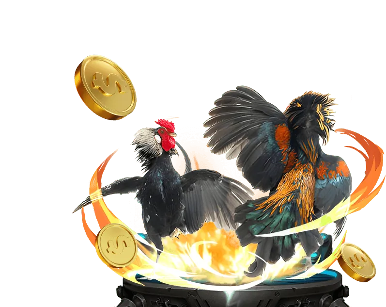 Hướng dẫn chơi đá gà King Fun